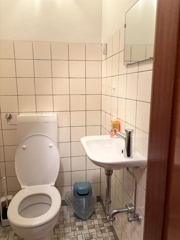 Koupelna v ubytování Gasthof Rhönlust zentrum