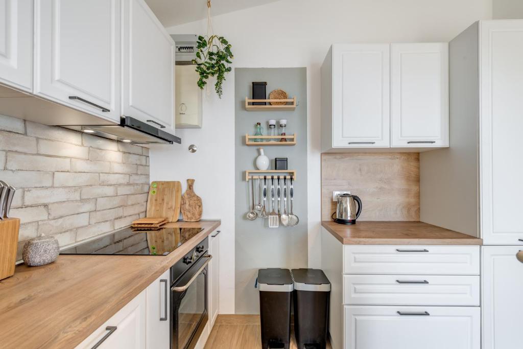 Kuchyň nebo kuchyňský kout v ubytování Apartments Jadranka