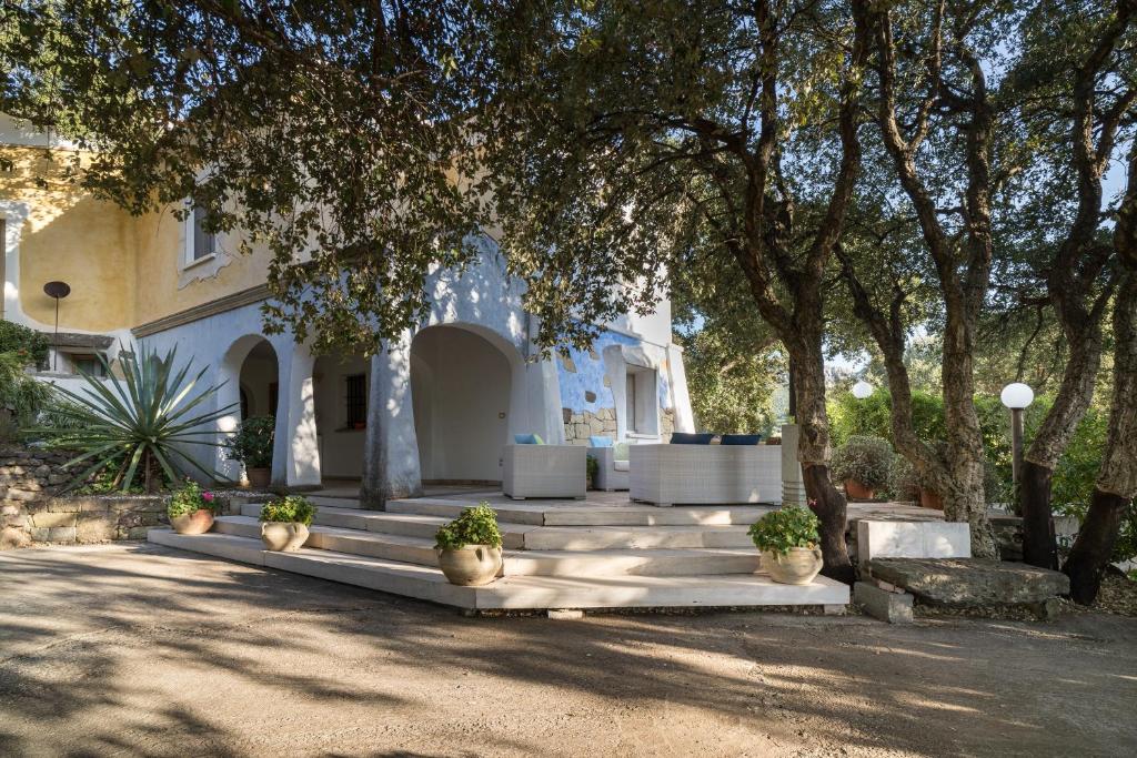 Κήπος έξω από το Art House