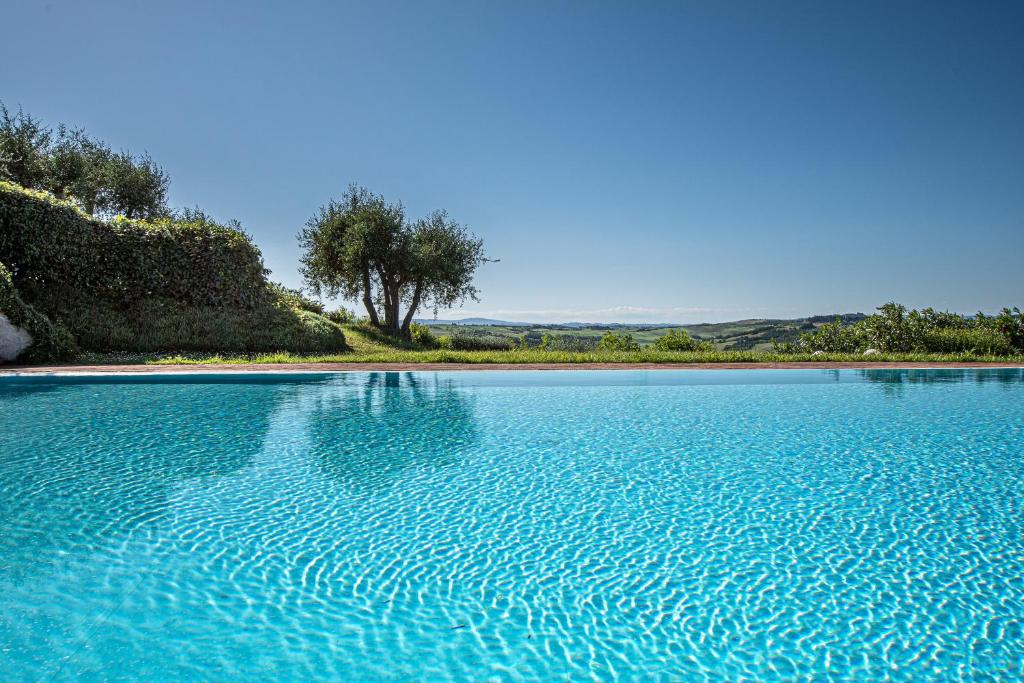 une grande piscine d'eau bleue avec un arbre en arrière-plan dans l'établissement Affitti Brevi Siena - Le Rose Appartamento in Toscana con piscina da sogno, à Asciano