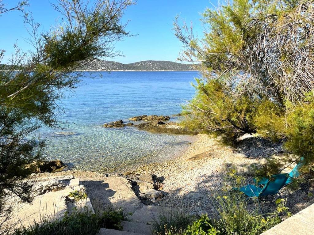 a view of a beach with trees and the water at Little Beachouse Prvic Island in Prvić Šepurine