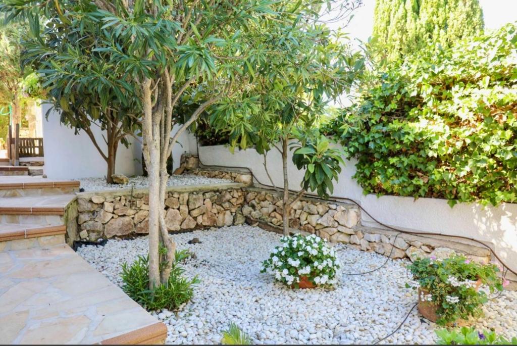 Ein Garten an der Unterkunft Villa Narby