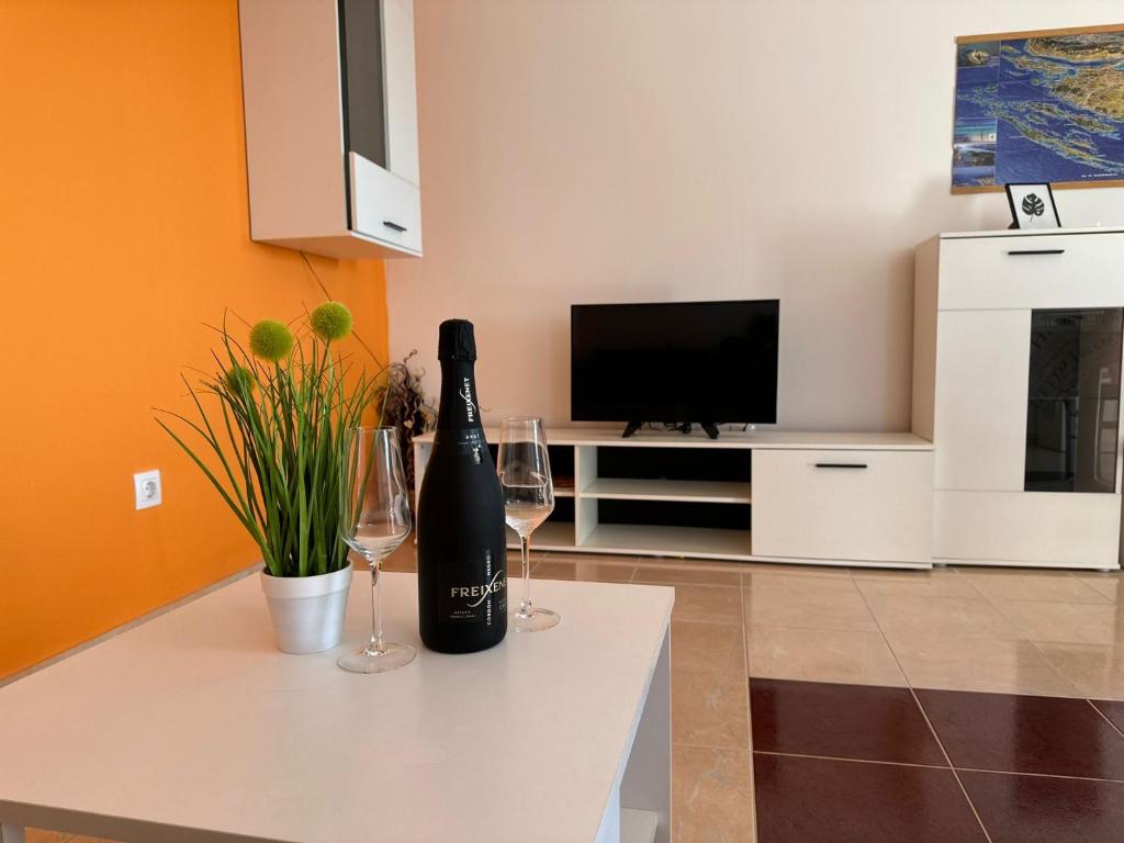 TV a/nebo společenská místnost v ubytování Apartmani "Bodulo"
