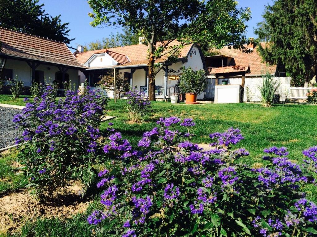 Κήπος έξω από το Válilak apartman