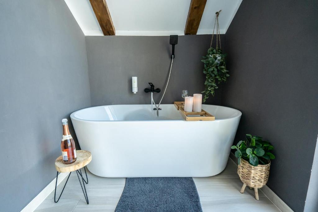 a bathroom with a white tub in a room at Vila Blanc Valiug Crivaia in Văliug