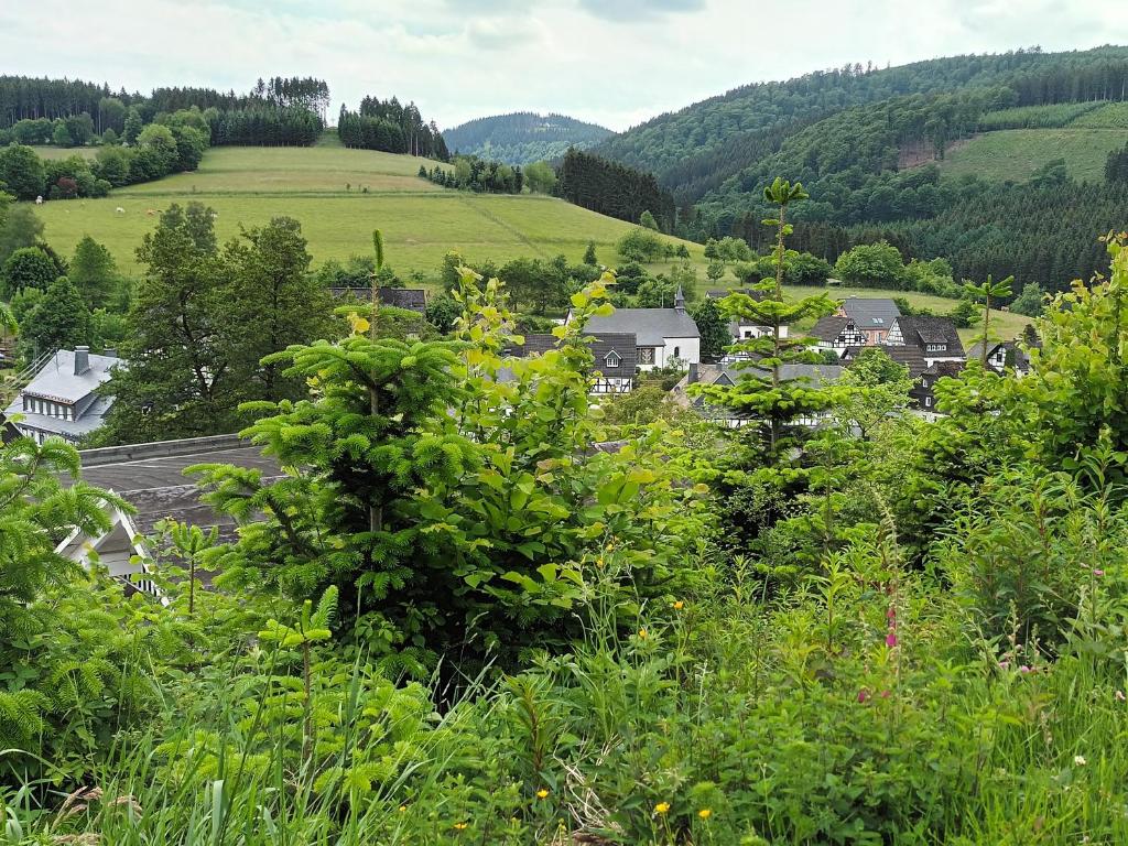 a village in the hills with trees and houses at Haus Traumblick und Alpenzauber in Lennestadt