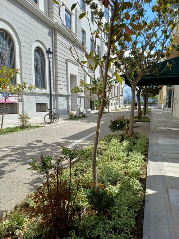Zahrada ubytování Golden Hour ολόκληρο σπίτι 60 τετραγωνικά Βόλος Θέα