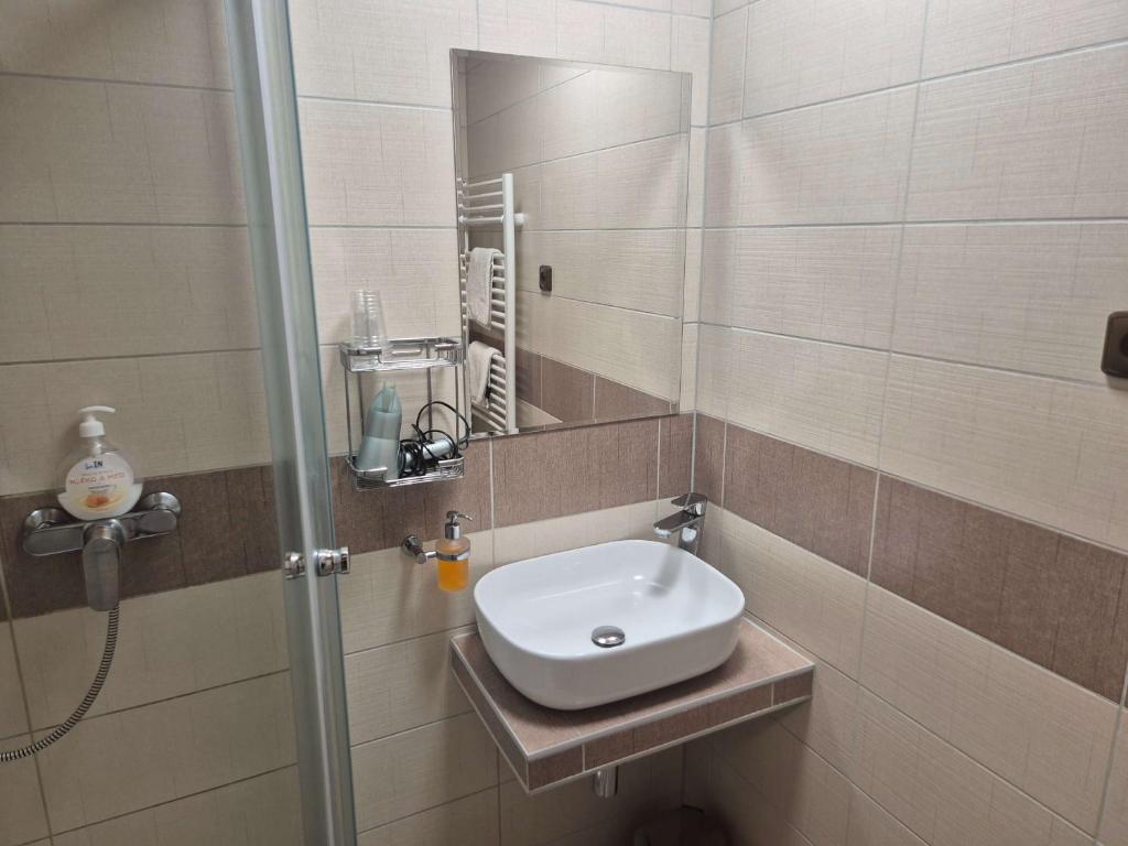 un bagno con lavandino e specchio di Penzion Hubert a Mikulov v Krušných Horách