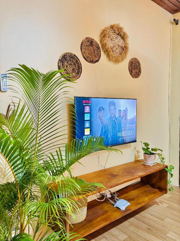 Minzi Homes