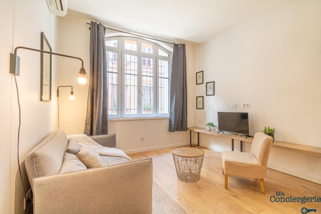 un salon avec un canapé et une télévision dans l'établissement DV1 Le gris Chiné - Metro - Gare centre ville, à Toulouse