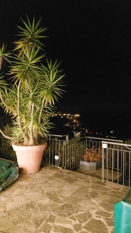 Fotografia z galérie ubytovania Villa Paradiso v destinácii Camogli