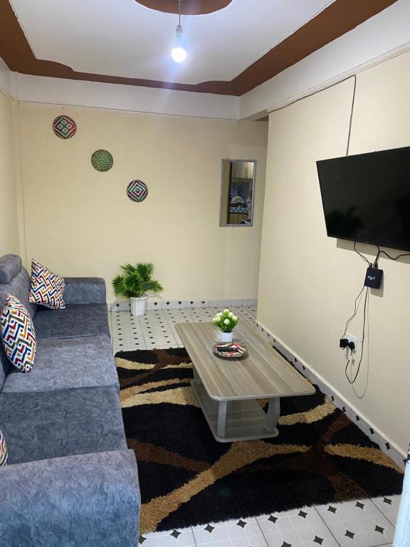 Televiisor ja/või meelelahutuskeskus majutusasutuses Ash Apartment