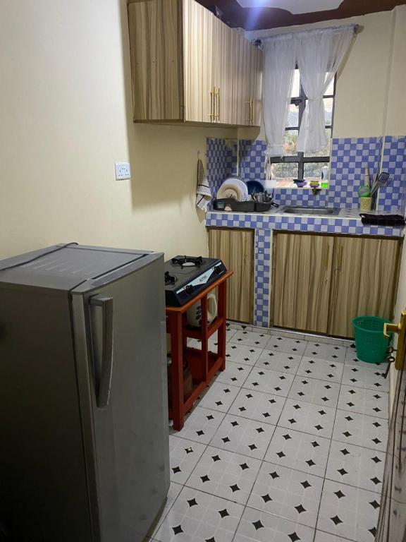 Köök või kööginurk majutusasutuses Ash Apartment