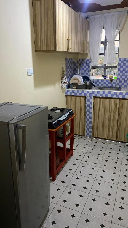 Köök või kööginurk majutusasutuses Ash Apartment