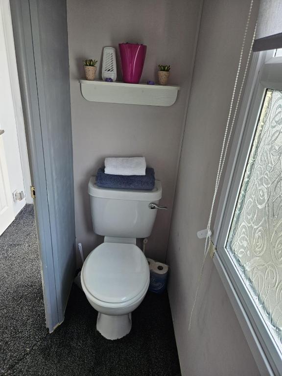 un piccolo bagno con servizi igienici bianchi in camera di Beautiful Mobile Home a Tralee