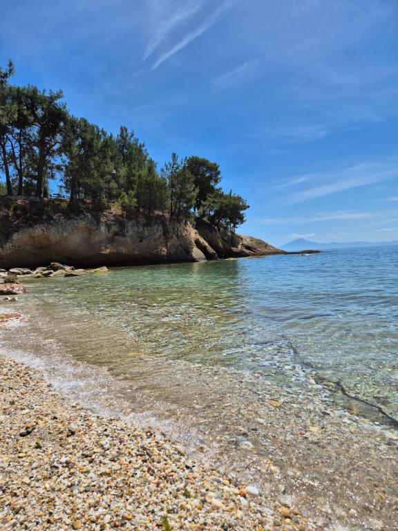 Φυσικό τοπίο κοντά σε αυτό το διαμέρισμα