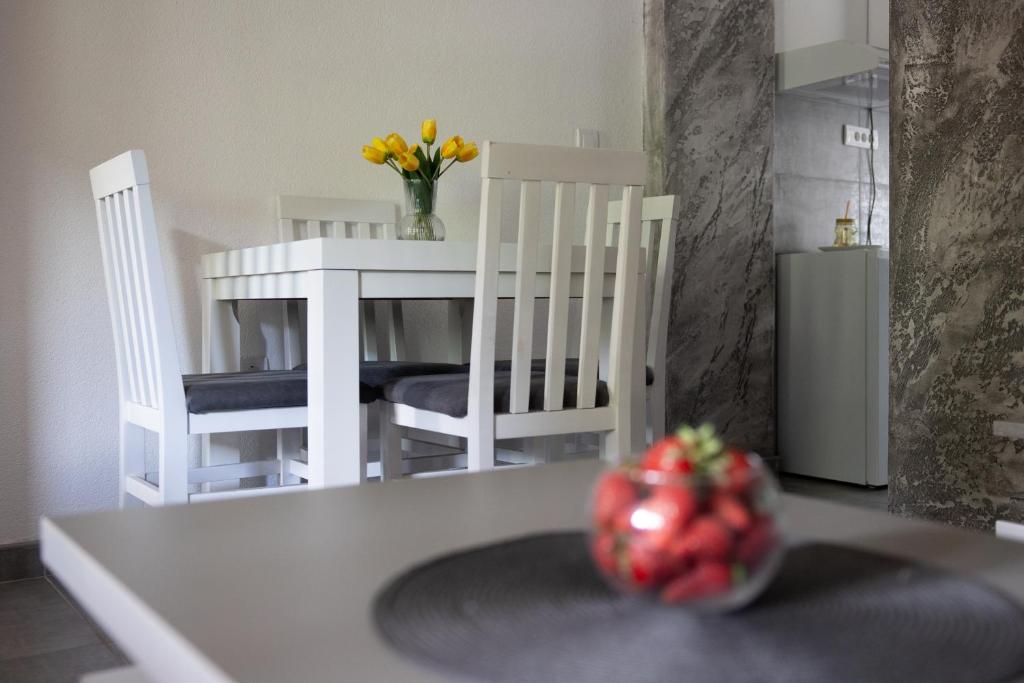 Fotografie z fotogalerie ubytování Apartmani Dejavu na Drini v destinaci Ljubovija