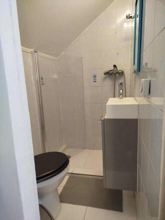 une salle de bain avec toilettes, lavabo et douche dans l'établissement Appartement individuel dans charmante maison de ville à la française, à Gagny