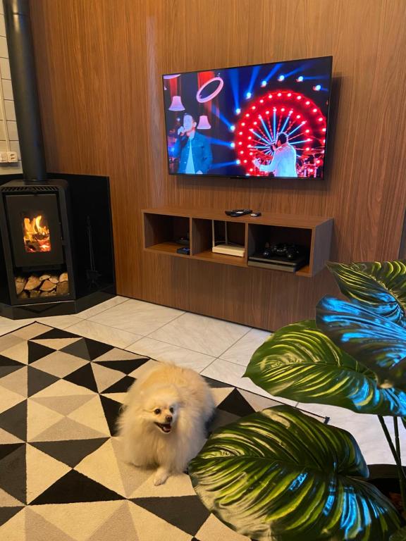 Μια τηλεόραση ή/και κέντρο ψυχαγωγίας στο Casa Para Descanso