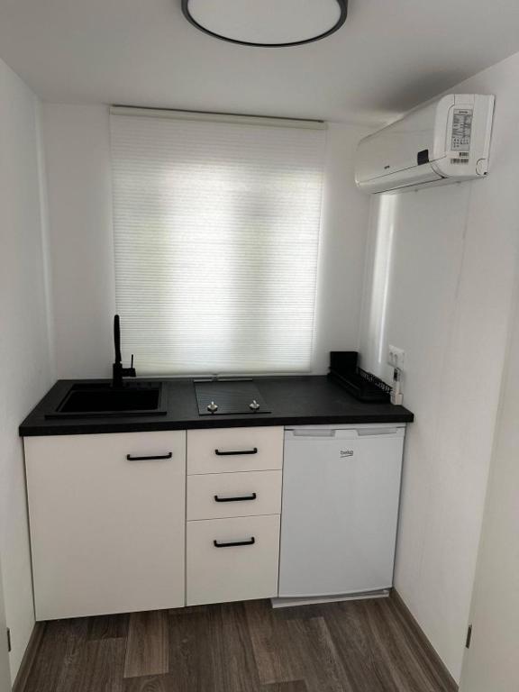 Kuchyň nebo kuchyňský kout v ubytování Hiška pod hrastom, G110 Podčetrtek, Aqualuna, Olimia