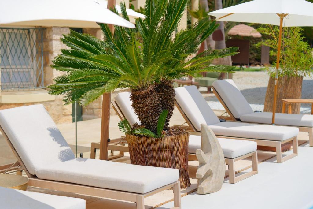 a group of lounge chairs and a palm tree at La Garoupe-Gardiole in Antibes