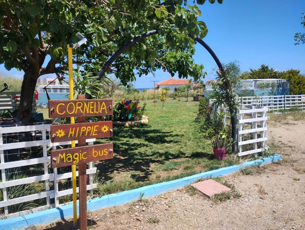 Fotografie z fotogalerie ubytování Cornelia Hippie Magic Bus v destinaci Kissamos