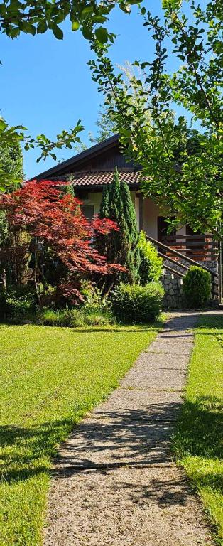 Jardí fora de Green Oasis
