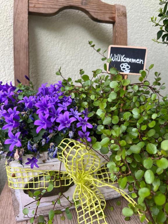 Zahrada ubytování Kerschbamerhof im Süden Südtirols