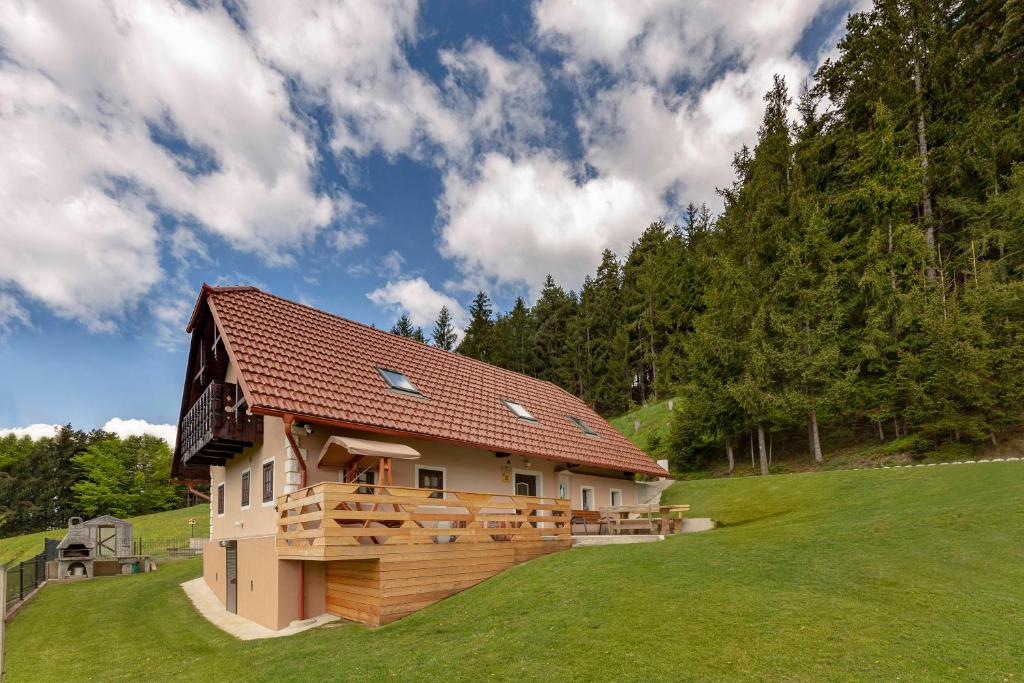 a house with a gambrel roof on a green field at Sunflower House with Jacuzzy and Sauna in Vitanje