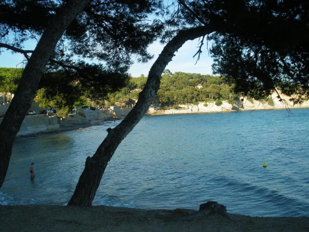 une personne debout dans l'eau à côté d'un arbre dans l'établissement Très beau T2 à100m du bord de mer, à La Ciotat