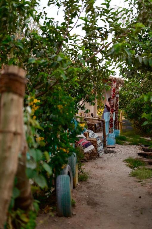 Bedouin Lodge Luxor - 17