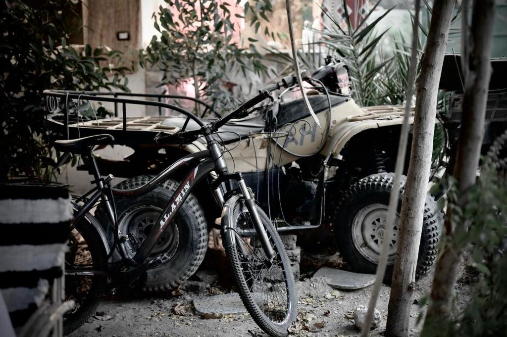 Bedouin Lodge Luxor - 15