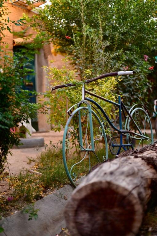 Bedouin Lodge Luxor - 12