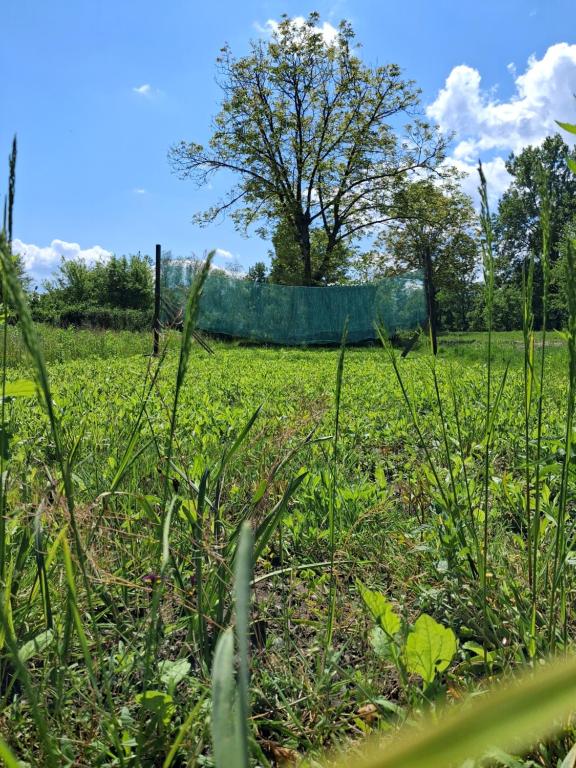 Zahrada ubytování GARDEN ROOM FOR TWO PEOPLE WITH ADDITIONAL RIVER SITE TO PUT UP YOUR TENT price includes two bicycles for amazing views and two water floats for mega river run CHECK MY VIDEO ON YOUTUBE BY WRITING How to find and use your accommodation in Ljubljana