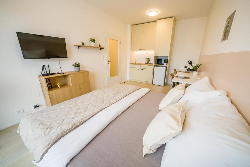 APARTIA Apartment Brno-center - 6