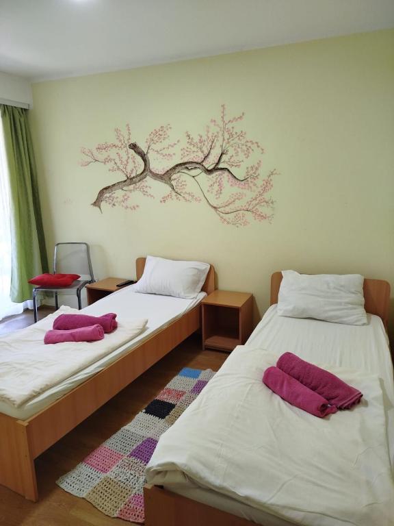 Privatan smeštaj Velić - Twin Room With Terrace