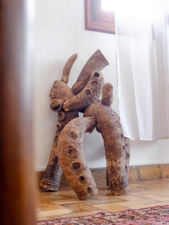 Fotografie z fotogalerie ubytování La Maison du Marché v destinaci Saint-Pierre
