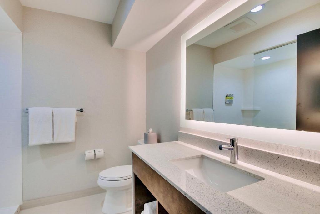 Holiday Inn Express Hotel & Suites Chester by IHG - 标准特大号床间 - 带无障碍淋浴间