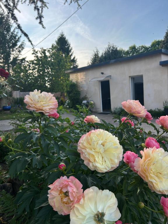 Zahrada ubytování Studio indépendant Lisieux