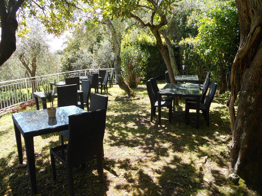 a row of tables and chairs under a tree at Albergo Blueline in Tellaro