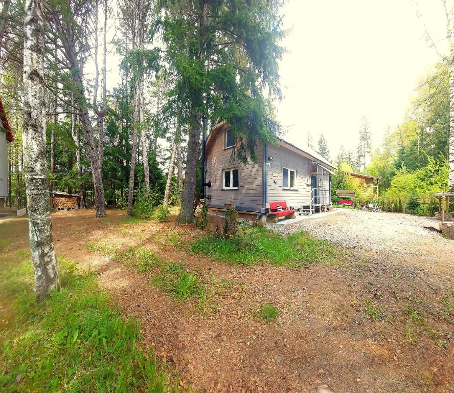 Příroda nedaleko chaty