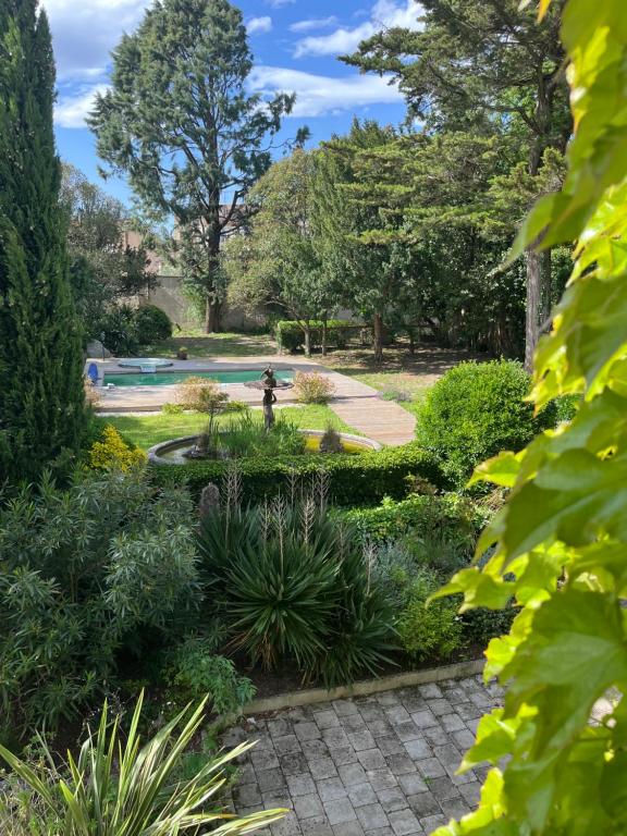 un jardin avec une piscine en arrière-plan dans l'établissement Maison de maître de 700 m2 en plein cœur de Castelnaudary, à La Celle-sous-Gouzon
