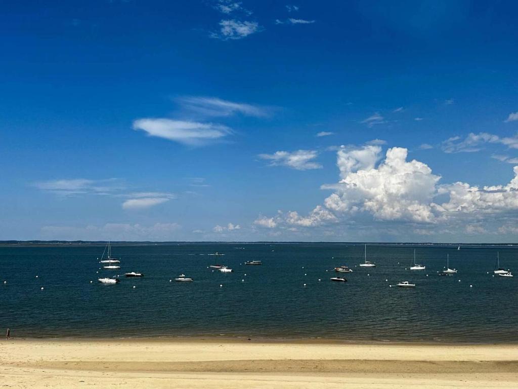 un groupe de bateaux dans l'eau sur une plage dans l'établissement Résidence Eugenie - T2 vue Bassin, accès direct plage, Arcachon MAE-8914, à Arcachon