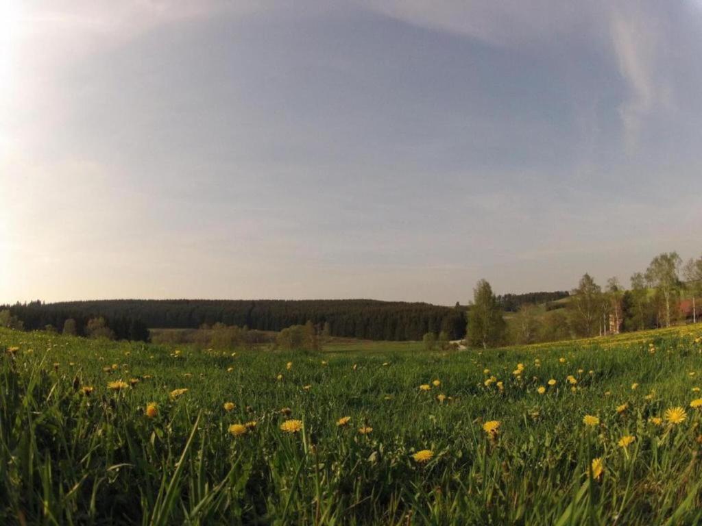 Příroda nedaleko apartmánu