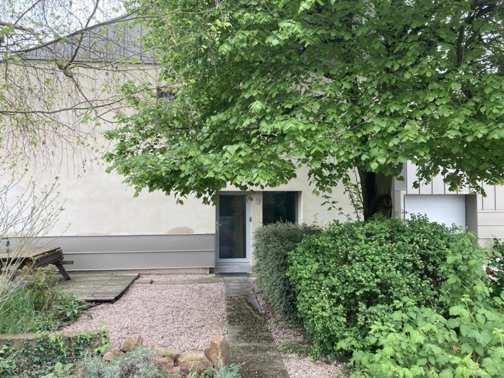 une maison blanche avec une porte et quelques buissons dans l'établissement Résidence avec parking 5 mm Colmar, à Horbourg-Wihr