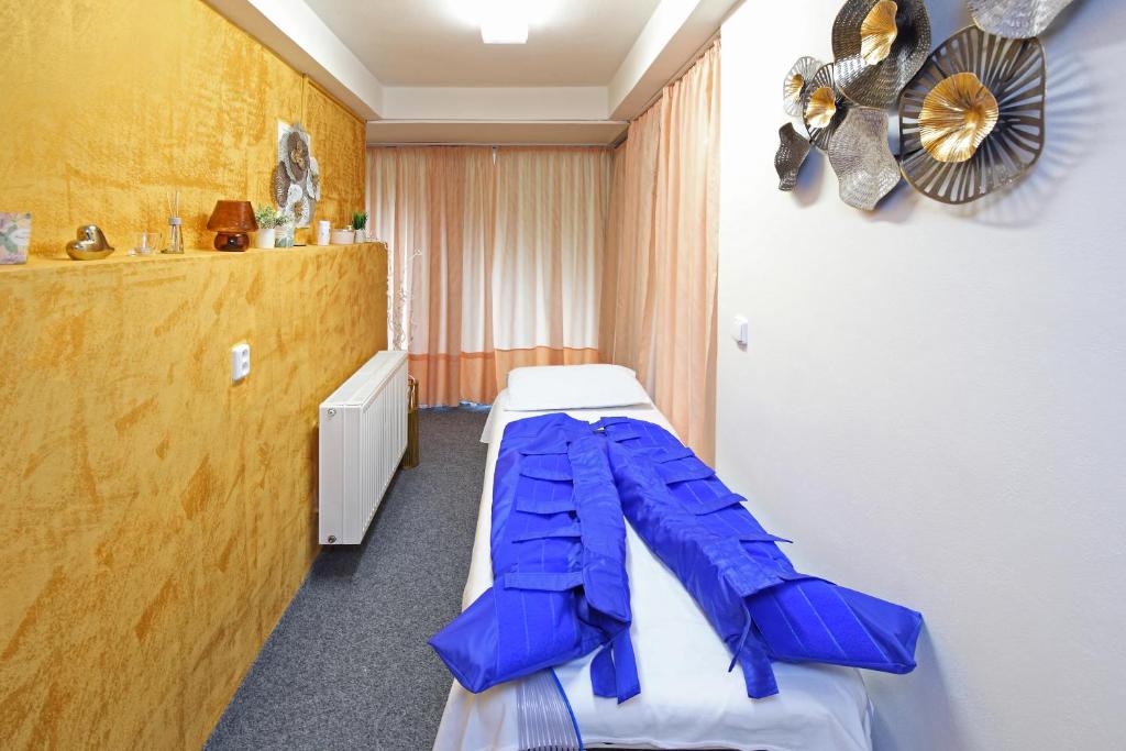 Lázně a/nebo wellness v ubytování Interhotel Montana