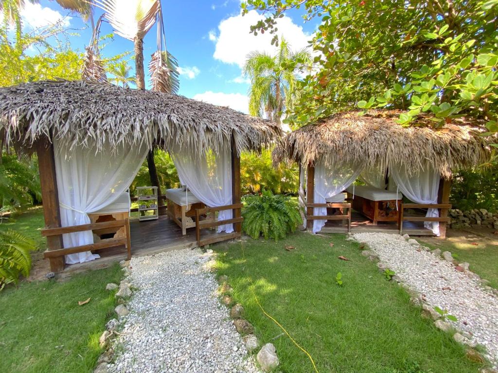 Zahrada ubytování TROPICAL SUITES and VILLAS - LOS CORALES BEACH - great location with many restaurants