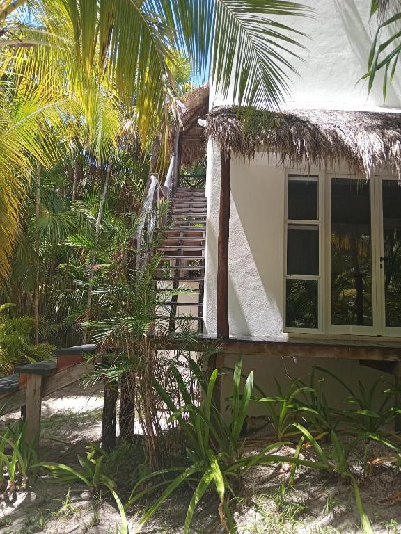 Zahrada ubytování Casa Zaba