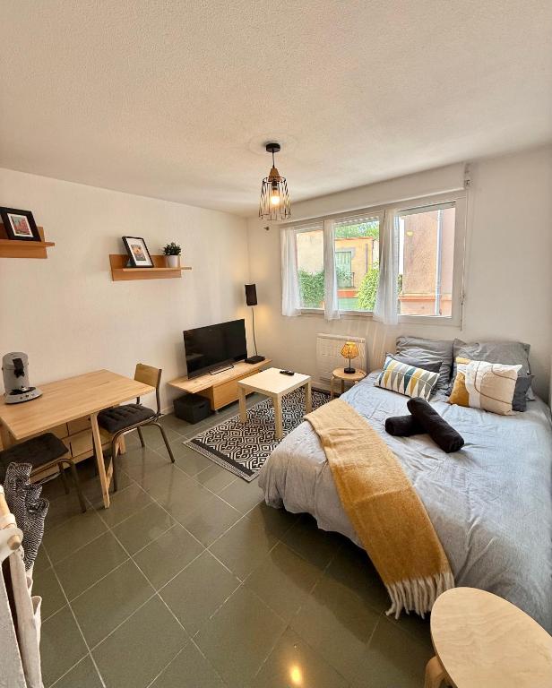 une chambre avec un lit, une table et un bureau dans l'établissement Studio Calme et Confort - Saint-Cyprien - Pont Neuf, à Toulouse