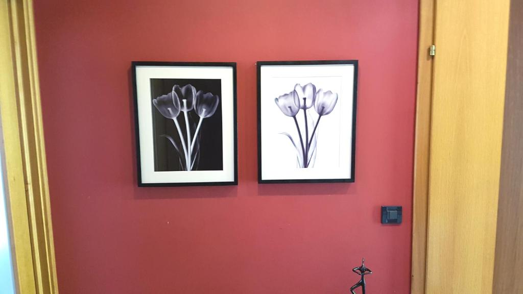 Apartmani Sanja - 18